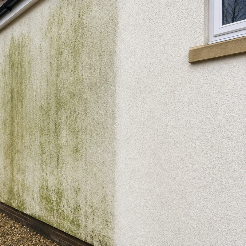 Rendered wall before and after professional algae removal