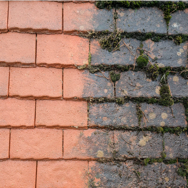 Roof tiles before and after professional moss removal