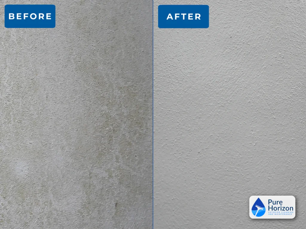 Before and after professional render cleaning showing green organic staining removed from textured exterior render