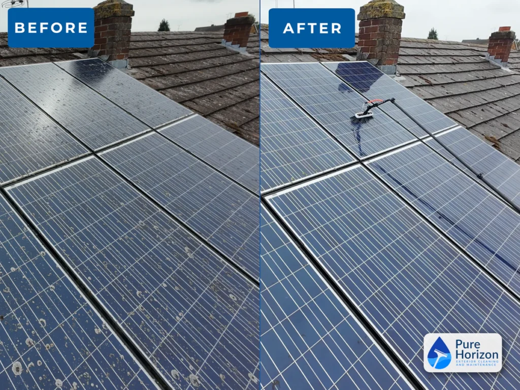Solar panels before and after cleaning to remove lichen and organic dirt